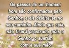 Salmo do dia
