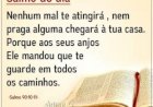 Salmo do dia