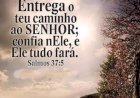 Salmo do dia