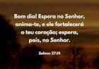 Salmo do dia