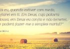 Salmo do dia