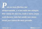 Salmo do dia