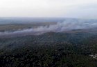 Fumaça de queimadas atinge cidades de 10 estados