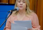 Lia Nogueira solicita base avançada da PM para reforçar segurança em Ponta Porã