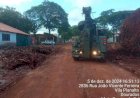 Defesa Civil conclui retirada de destroços de seringueira centenária
