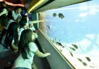 Bioparque Pantanal abre agendamento para visitas escolares