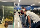 Bioparque promove turismo científico e experiência profissional para acadêmicos durante visitas técnicas