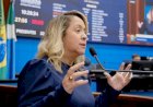 A pedido de Lia Nogueira, poluição causada por empresa em Itaporã vira alvo de ação judici