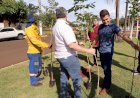 No Dia Mundial do Meio Ambiente, prefeito faz plantio de Ipês na Marcelino Pires