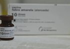 MS completa 10 anos sem casos de febre amarela humana e mantém alerta com vacinação
