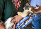 Prefeitura e Estado abrem agendamento da castração dos pets nos dias 1 e 2 de novembro