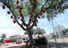 “Natal Encantado” começa dia 1º com chegada do Papai Noel e acendimento das luzes