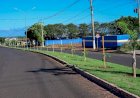 Avenidas de Ivinhema ficará mais arborizadas com novo projeto de plantio de arvores