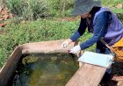 Prefeitura registra quarta morte por chikungunya nas aldeias e alerta para o avanço da doença