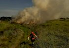 Fogo Zero: Com ações preventivas, queimadas têm queda histórica em MS