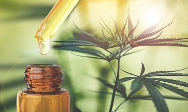 Comissão de Direitos Humanos debate uso medicinal da Cannabis