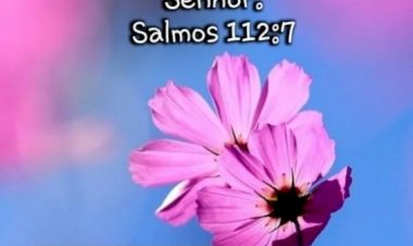 Salmo do dia