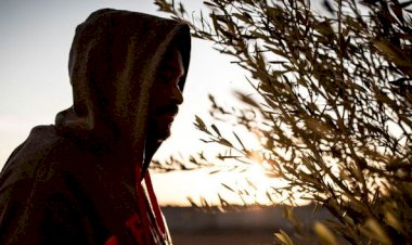 Dia Mundial Contra o Tráfico de Pessoas, ONU pede mais responsabilização