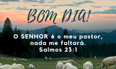 Salmo do dia