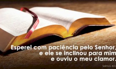Salmo do dia