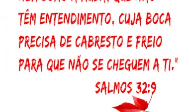 Salmo do dia