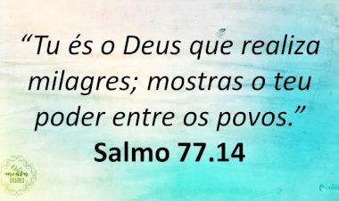 Salmo do dia