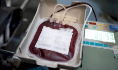 Testemunhas de Jeová podem recusar transfusão de sangue, decide STF