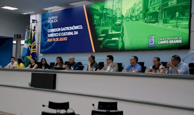 Em audiência, vereadores propõem cadastro de ambulantes do Corredor da 14 de Julho