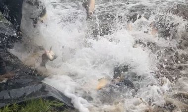 Pesca nos parques de Dourados está proibida devido a Piracema