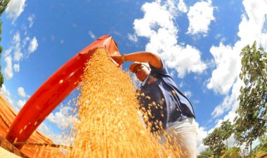 Mato Grosso do Sul fecha 2024 com superávit de US$ 7,1 bilhões na balança comercial