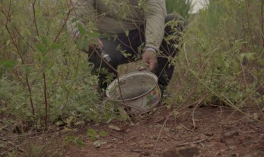 Mato Grosso do Sul avança no combate às arboviroses e projeta 7,6 milhões de visitas em 2025