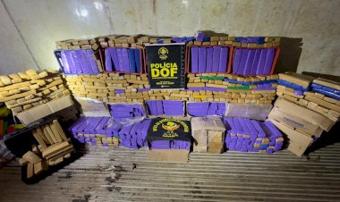 DOF apreende uma tonelada e meia de maconha em residência que servia de entreposto de drogas na Capital