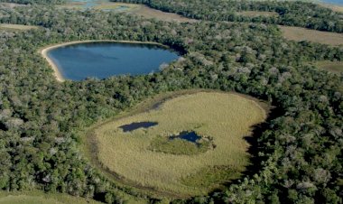 Encontro discute revisão do plano de manejo do Parque Estadual do Rio Negro