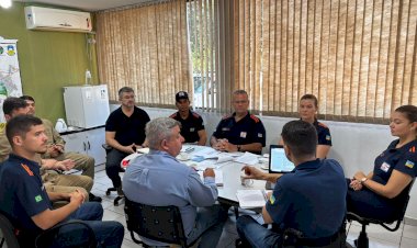 Imam, Defesa Civil, Semsur e Bombeiros debatem remoção de árvores com risco de queda