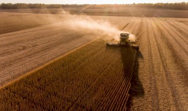 Mato Grosso do Sul lidera projeções de crescimento do PIB para 2025