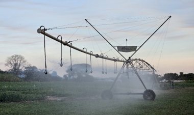 FCO aprova R$ 219,7 milhões para novos empreendimentos em MS; irrigação e citricultura são destaque