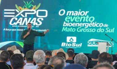Expocanas 2025: setor de bioenergia anuncia aumento de produção e novos investimentos em Mato Grosso do Sul