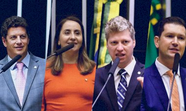 O NOVO É 100 % Anistia