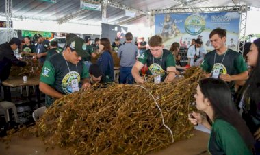 Laguna Carapã realiza o 25º Concurso Pé de Soja e comemora investimentos em infraestrutura
