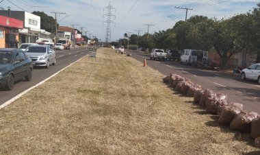 A pedido do vereador Marquinhos Trad, limpeza em canteiro central da Avenida Guaicurus finalmente acontece