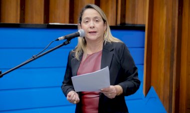 Projeto de Lei de carrinhos adaptados é aprovado em MS