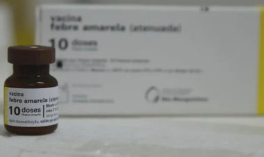 MS completa 10 anos sem casos de febre amarela humana e mantém alerta com vacinação