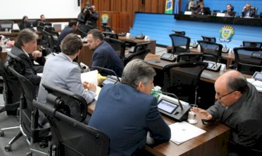 Projeto que reconhece o tuiuiú como ave símbolo do Pantanal de MS será votado