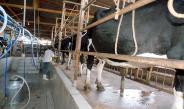 EDITAL DE CONVOCAÇÃO PARA ASSEMBLEIA DE CONSTITUIÇÃO DA ASSOCIAÇÃO ESTADUAL DE PRODUTORES DE LEITE DO MS