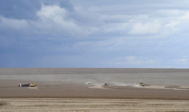 Motor de MS: agronegócio deve puxar PIB do Estado, com previsão de crescer 5,5% neste ano