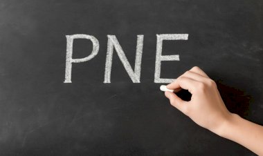 Campo Grande sedia audiência pública do novo Plano Nacional de Educação em julho