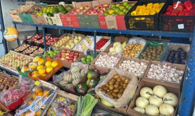 Com frutas e hortaliças direto do campo, Ceasa tem papel crucial na saúde dos sul-mato-grossenses