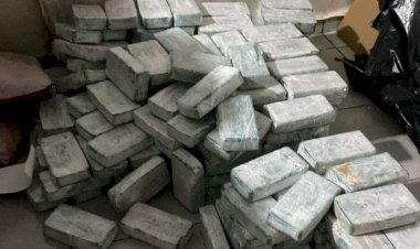 Operação da segurança pública de MS apreende de 475 kg de cocaína no Dia Internacional contra as Drogas