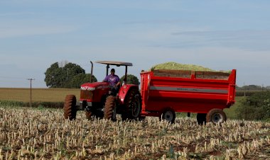 Prefeitura seleciona agricultores familiares para distribuição gratuita de fertilizante orgânico