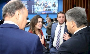 Protocolos de atendimento às pessoas com TEA e mais 3 projetos estão na Ordem do Dia